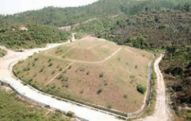 1647930895947029563.png image.png